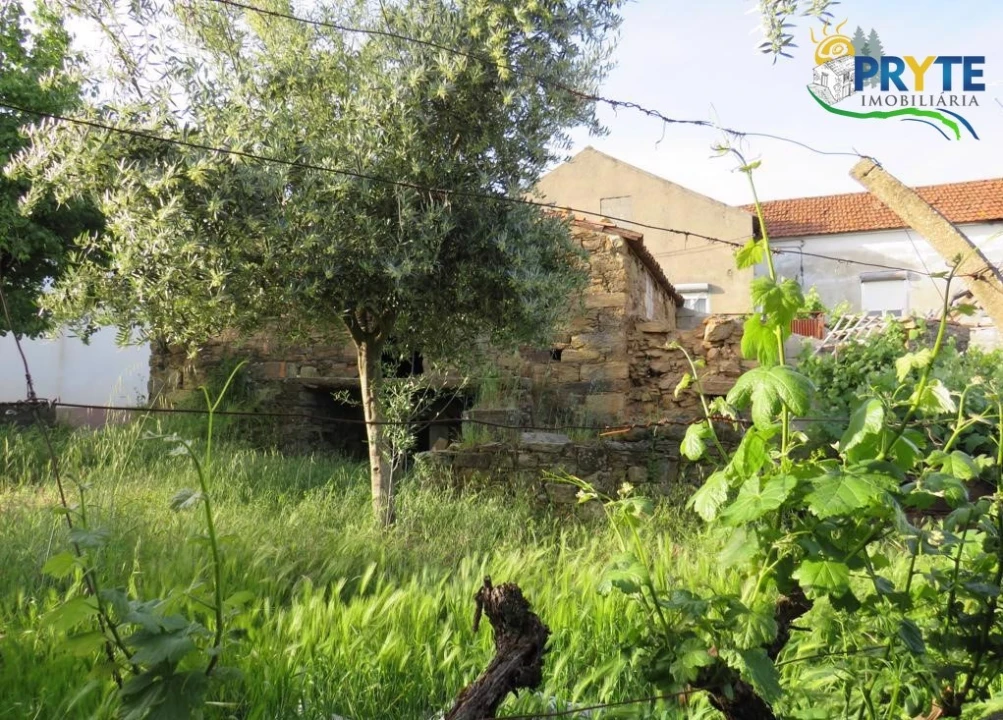 Terreno para Venda em Sertã Foto 20