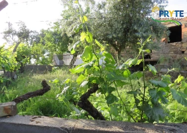 Terreno para Venda em Sertã