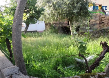 Terreno para Venda em Sertã