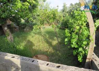 Terreno para Venda em Sertã