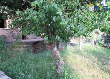 Terreno para Venda em Sertã