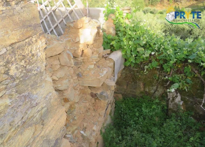 Terreno para Venda em Sertã Foto 7