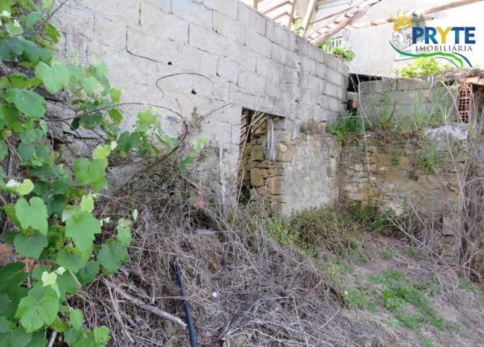 Terreno para Venda em Sertã Foto 13