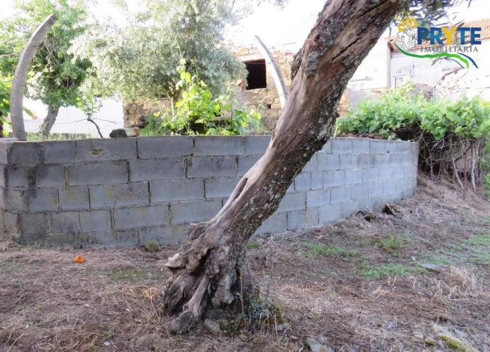 Terreno para Venda em Sertã Foto 19