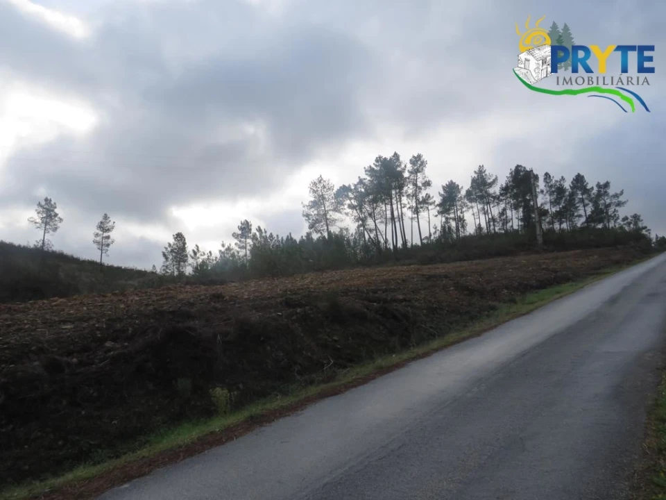 Terreno para Venda em Cumeada e Marmeleiro Foto 3