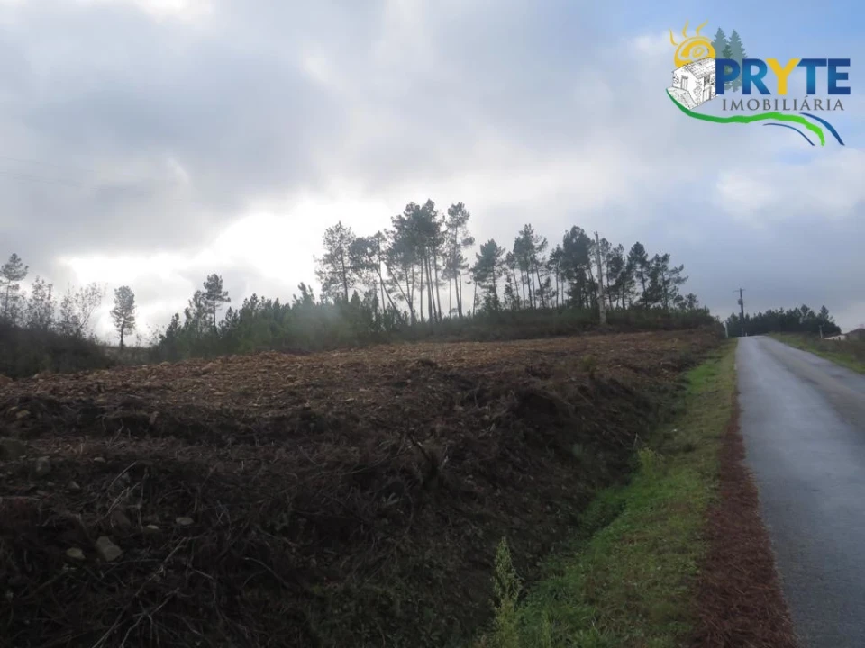 Terreno para Venda em Cumeada e Marmeleiro Foto 4