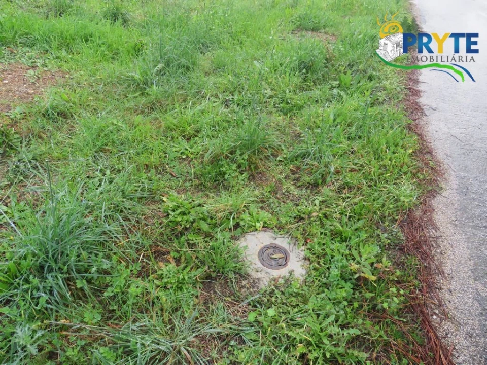 Terreno para Venda em Cumeada e Marmeleiro Foto 6