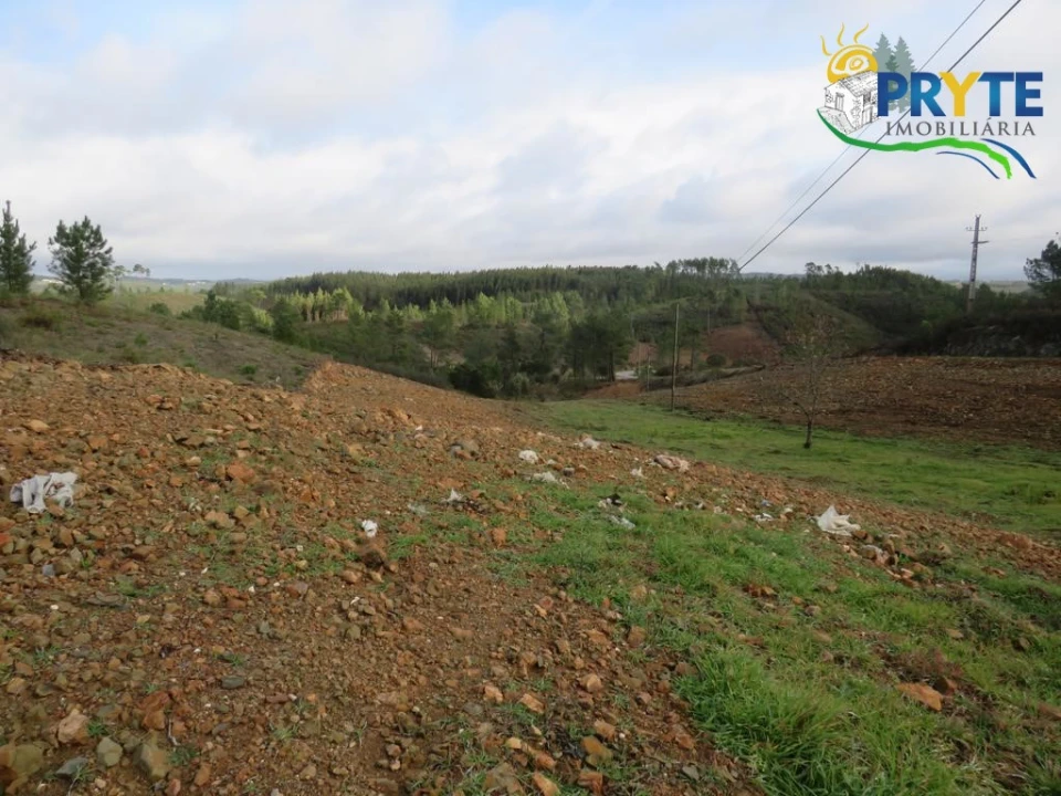 Terreno para Venda em Cumeada e Marmeleiro Foto 9