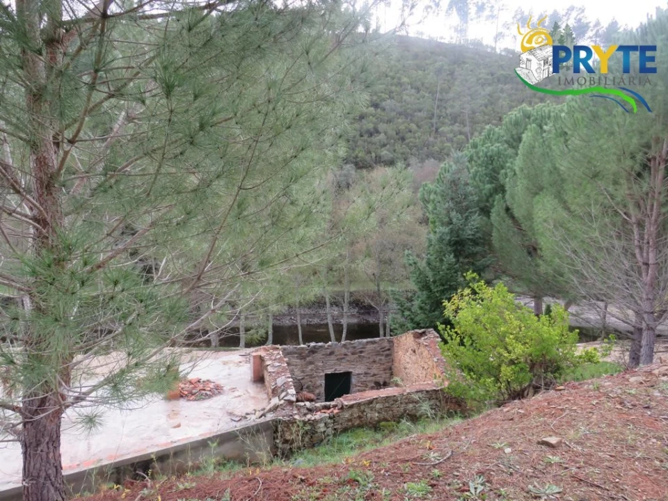 Terreno para Venda em Cumeada e Marmeleiro Foto 22