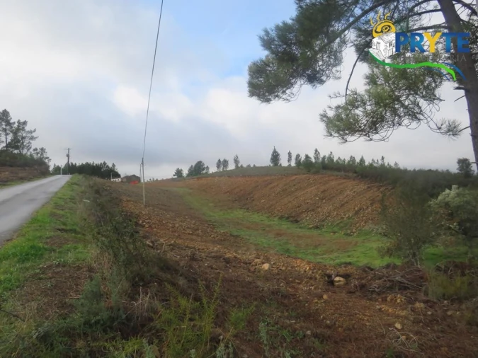 Terreno para Venda em Cumeada e Marmeleiro Foto 2