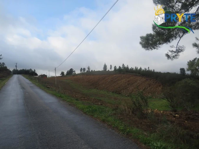 Terreno para Venda em Cumeada e Marmeleiro Foto 5