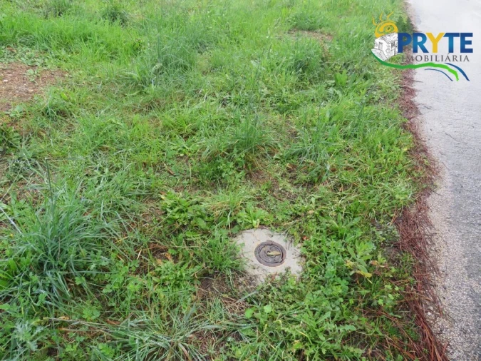 Terreno para Venda em Cumeada e Marmeleiro Foto 6