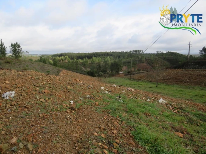 Terreno para Venda em Cumeada e Marmeleiro Foto 9