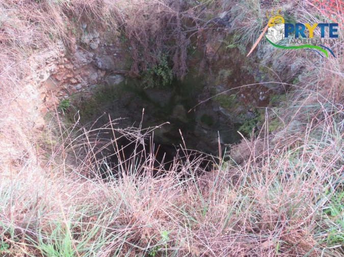 Terreno para Venda em Cumeada e Marmeleiro Foto 12