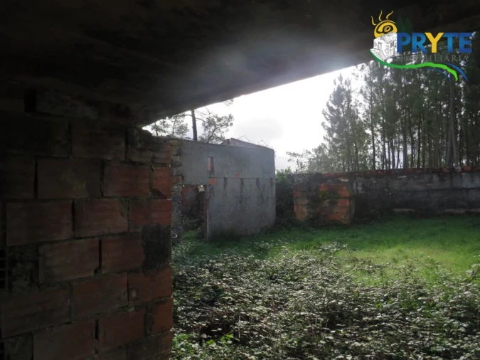 Terreno para Venda em Cumeada e Marmeleiro Foto 14