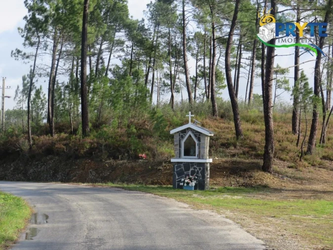 Terreno para Venda em Cumeada e Marmeleiro Foto 20