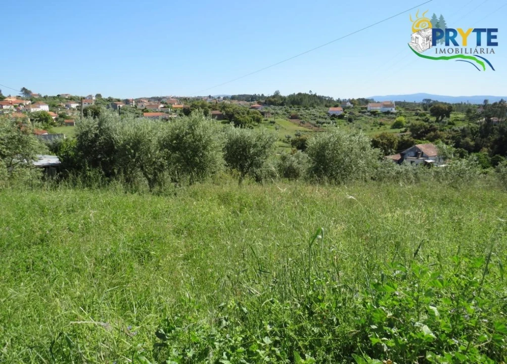Terreno para Venda em Cernache do Bonjardim, Nesperal e Palhais Foto 2