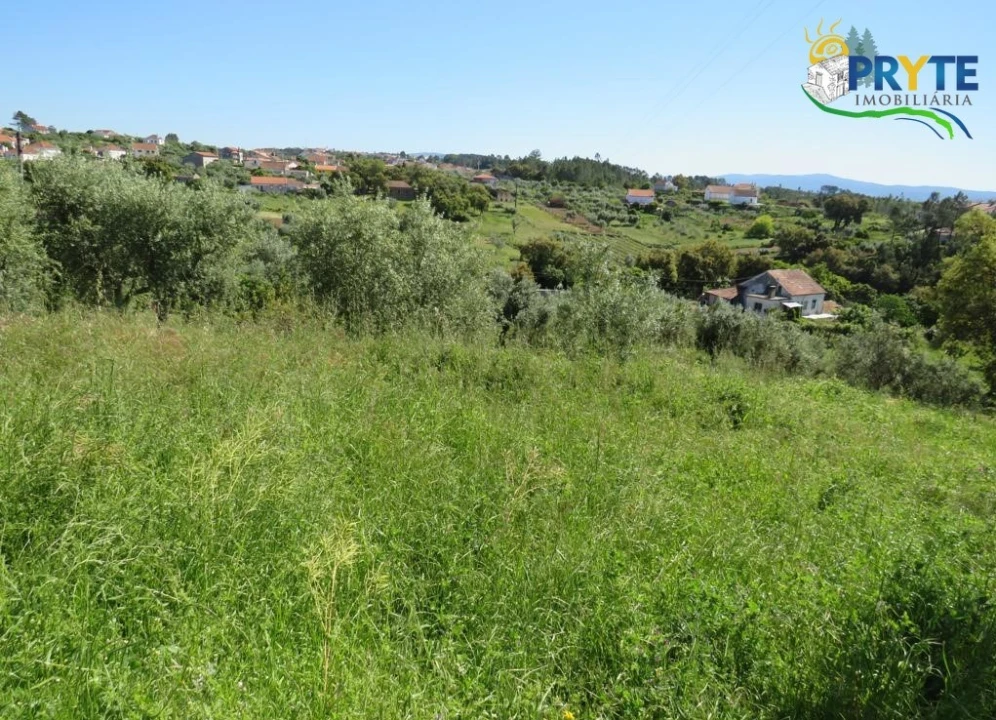 Terreno para Venda em Cernache do Bonjardim, Nesperal e Palhais Foto 4