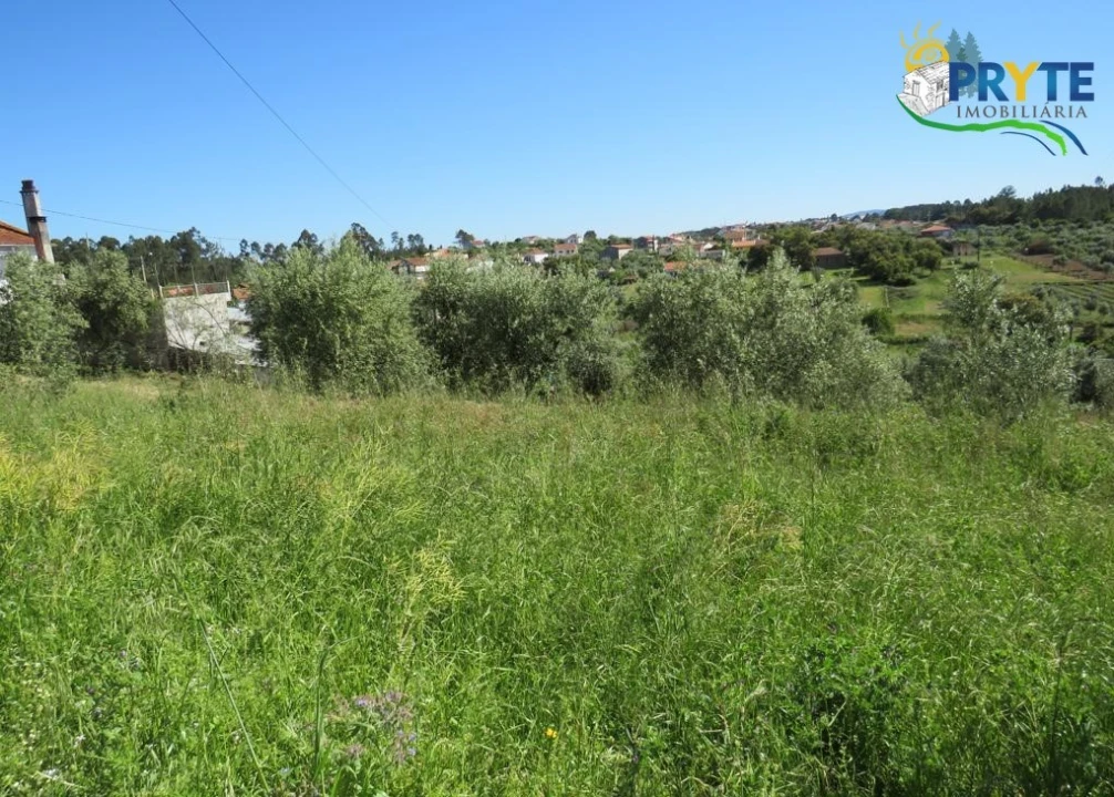 Terreno para Venda em Cernache do Bonjardim, Nesperal e Palhais Foto 5