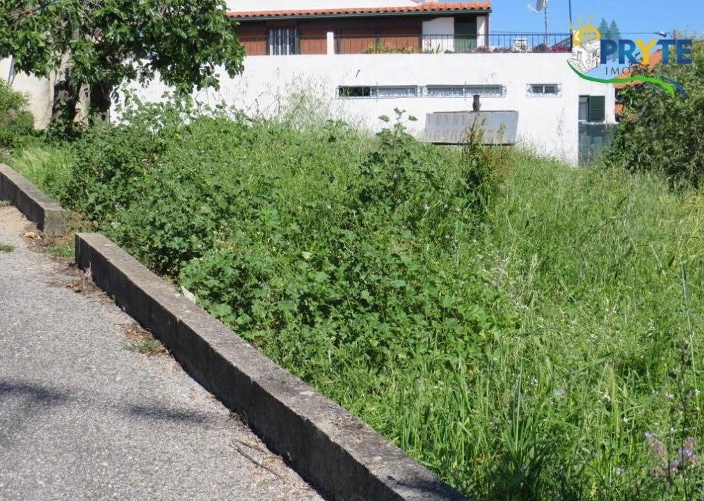 Terreno para Venda em Cernache do Bonjardim, Nesperal e Palhais Foto 18
