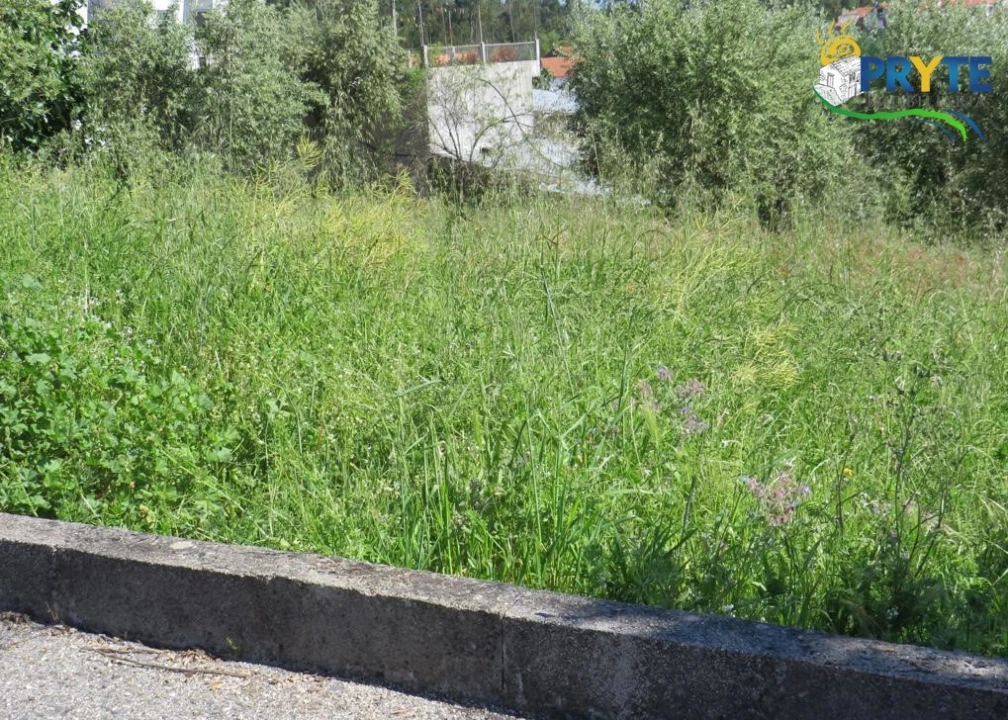 Terreno para Venda em Cernache do Bonjardim, Nesperal e Palhais Foto 19