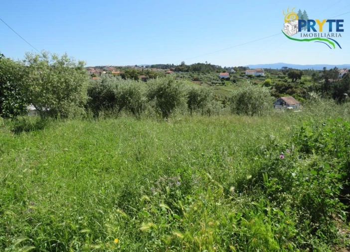 Terreno para Venda em Cernache do Bonjardim, Nesperal e Palhais Foto 1