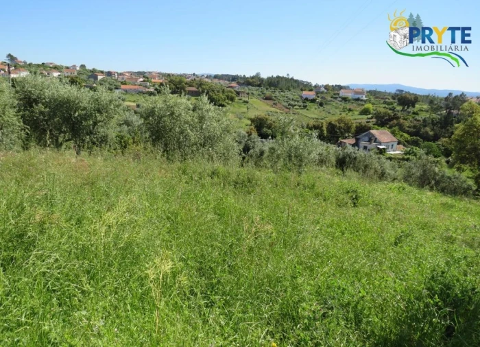 Terreno para Venda em Cernache do Bonjardim, Nesperal e Palhais Foto 4