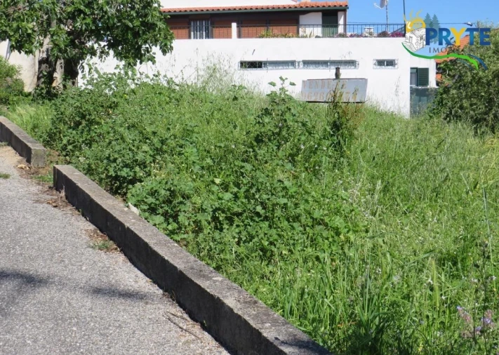 Terreno para Venda em Cernache do Bonjardim, Nesperal e Palhais Foto 18
