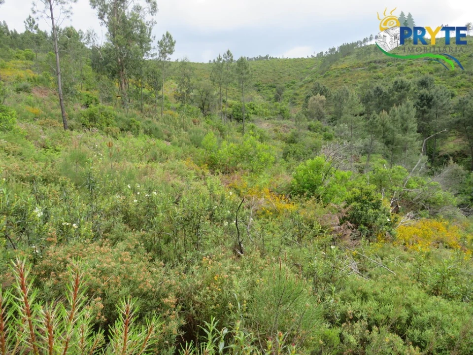 Terreno para Venda em Varzea dos Cavaleiros Foto 1