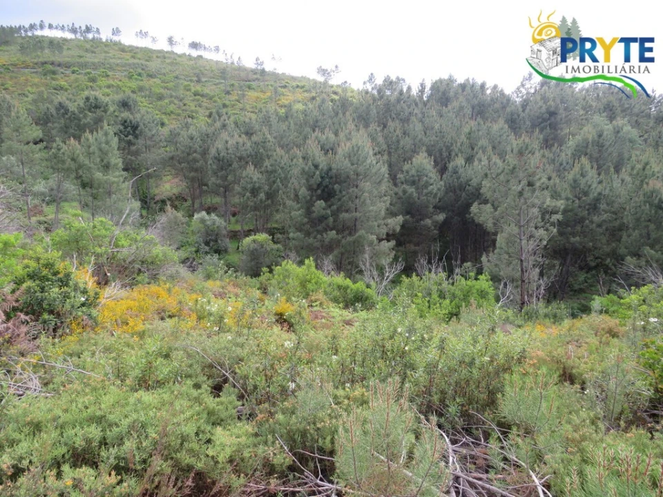 Terreno para Venda em Varzea dos Cavaleiros Foto 3
