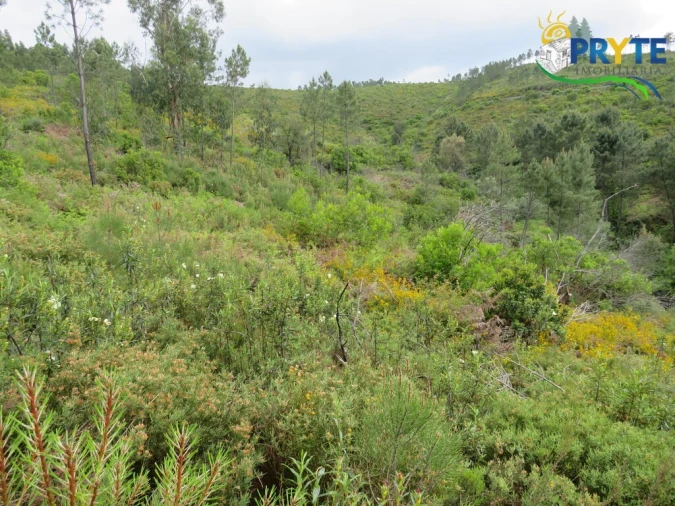 Terreno para Venda em Varzea dos Cavaleiros