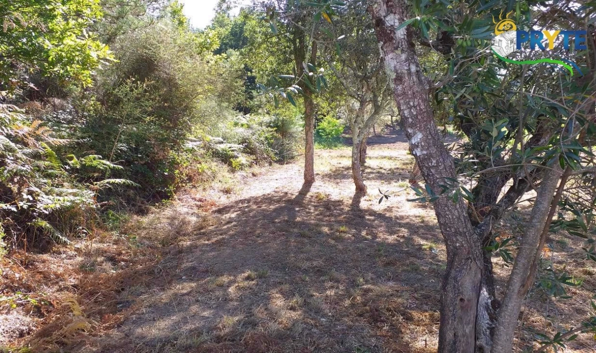 Terreno para Venda em Cabeçudo Foto 20