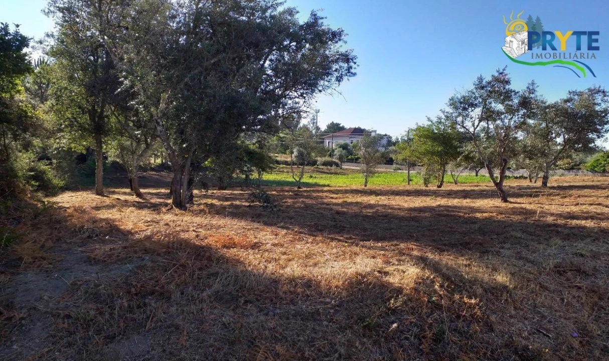 Terreno para Venda em Cabeçudo Foto 36