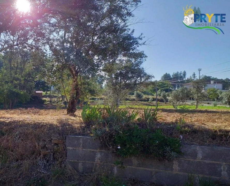 Terreno para Venda em Cabeçudo Foto 38