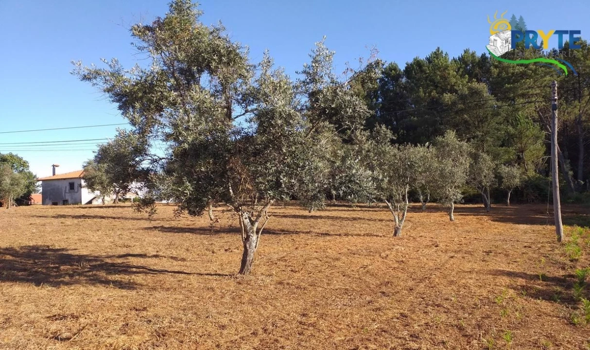Terreno para Venda em Cabeçudo Foto 44