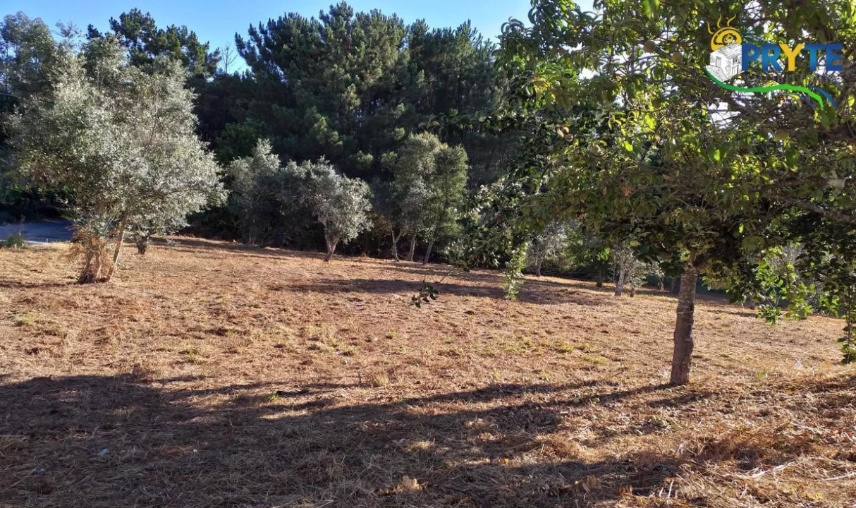 Terreno para Venda em Cabeçudo Foto 51