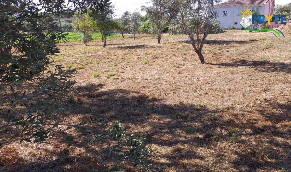 Terreno para Venda em Cabeçudo Foto 54