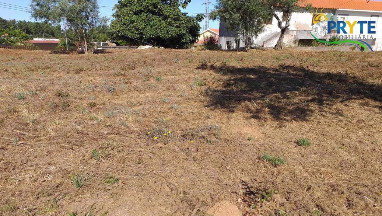 Terreno para Venda em Cabeçudo Foto 58
