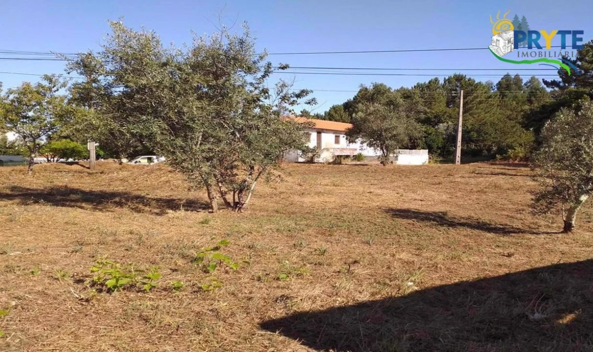 Terreno para Venda em Cabeçudo Foto 60