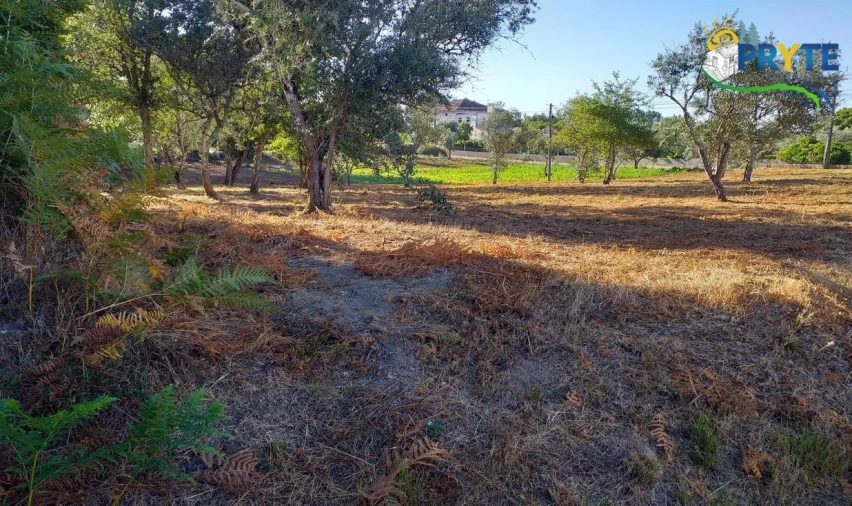 Terreno para Venda em Cabeçudo