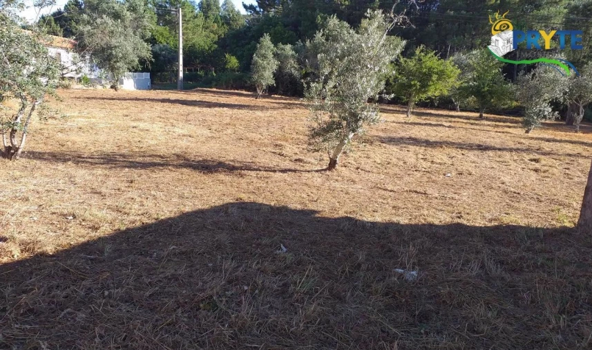Terreno para Venda em Cabeçudo Foto 12
