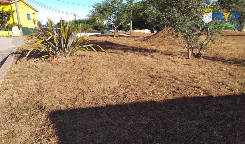 Terreno para Venda em Cabeçudo Foto 14
