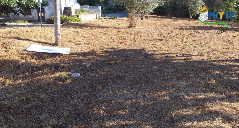 Terreno para Venda em Cabeçudo Foto 16