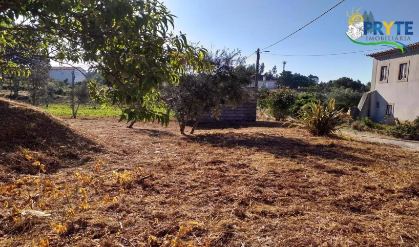 Terreno para Venda em Cabeçudo Foto 17