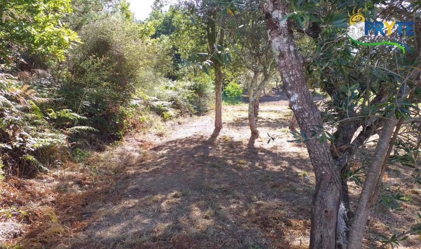 Terreno para Venda em Cabeçudo Foto 20