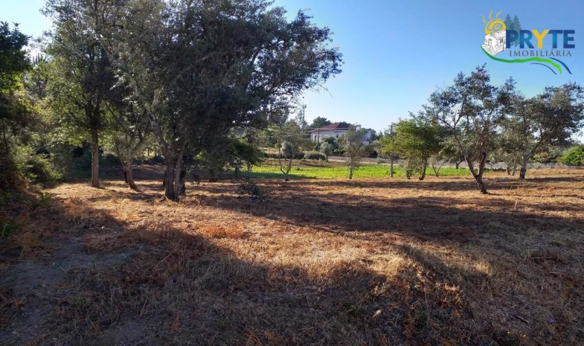 Terreno para Venda em Cabeçudo Foto 36