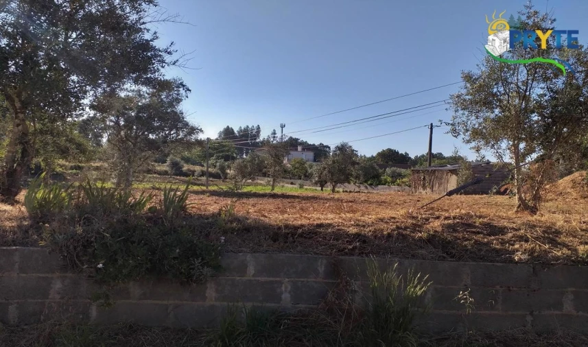 Terreno para Venda em Cabeçudo Foto 37