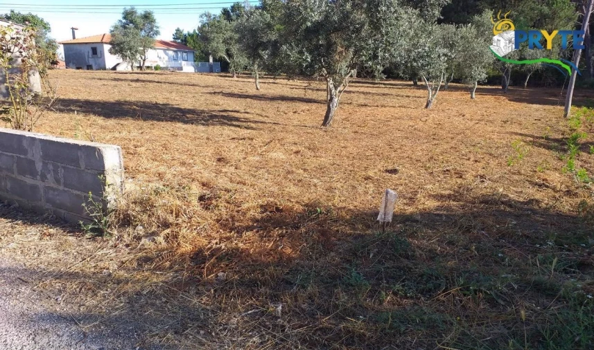 Terreno para Venda em Cabeçudo Foto 41