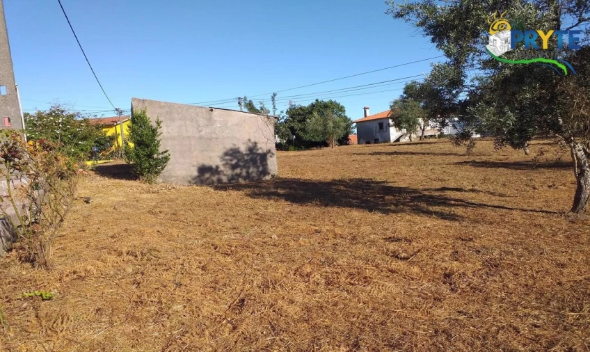 Terreno para Venda em Cabeçudo Foto 43