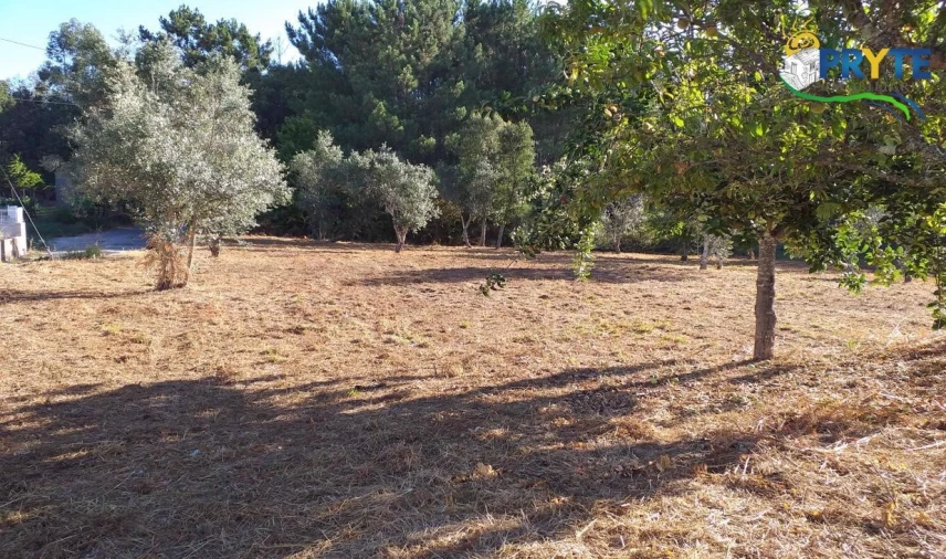 Terreno para Venda em Cabeçudo Foto 48
